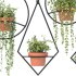 Boho Hanging Plants 03 - Thumbnail 6