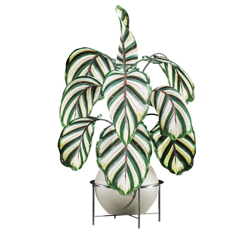 potted plant Image 1