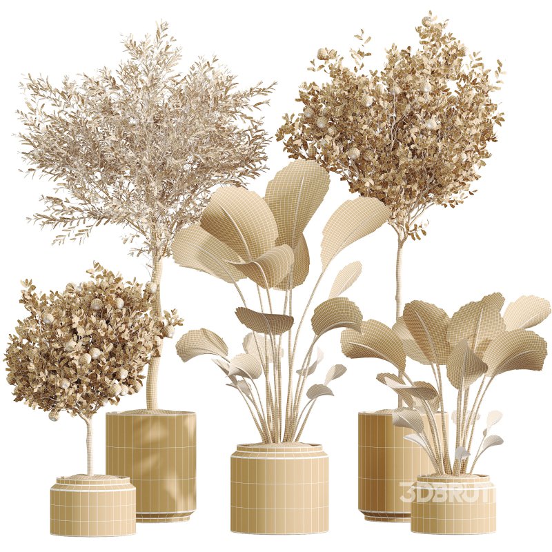 AV Indoor Plants Set 297 Fruit Orange and Banana Strelitzia Nicolai and Olive Image 6