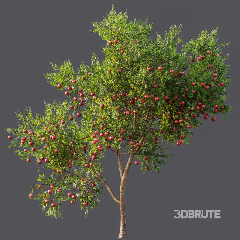 ntal and productive garden designs. Image 13