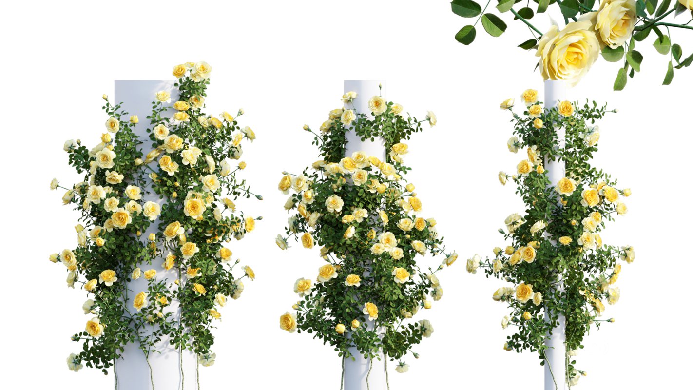 Collection 08 – Rose Garden Image 17