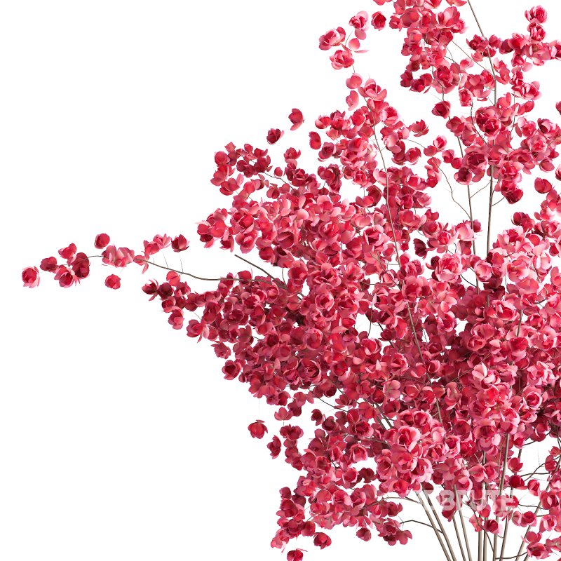 Bouquet indoor flower set Image 3