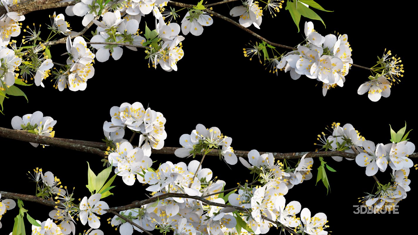 Collection 17 – Chinese garden Image 31