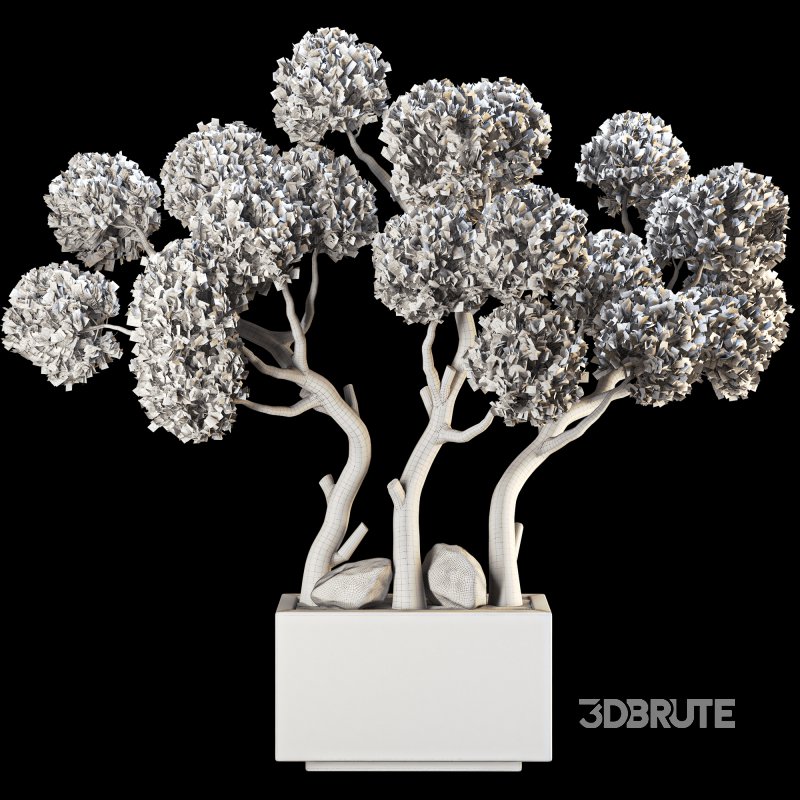 Topiary Pine Tree Set Image 6