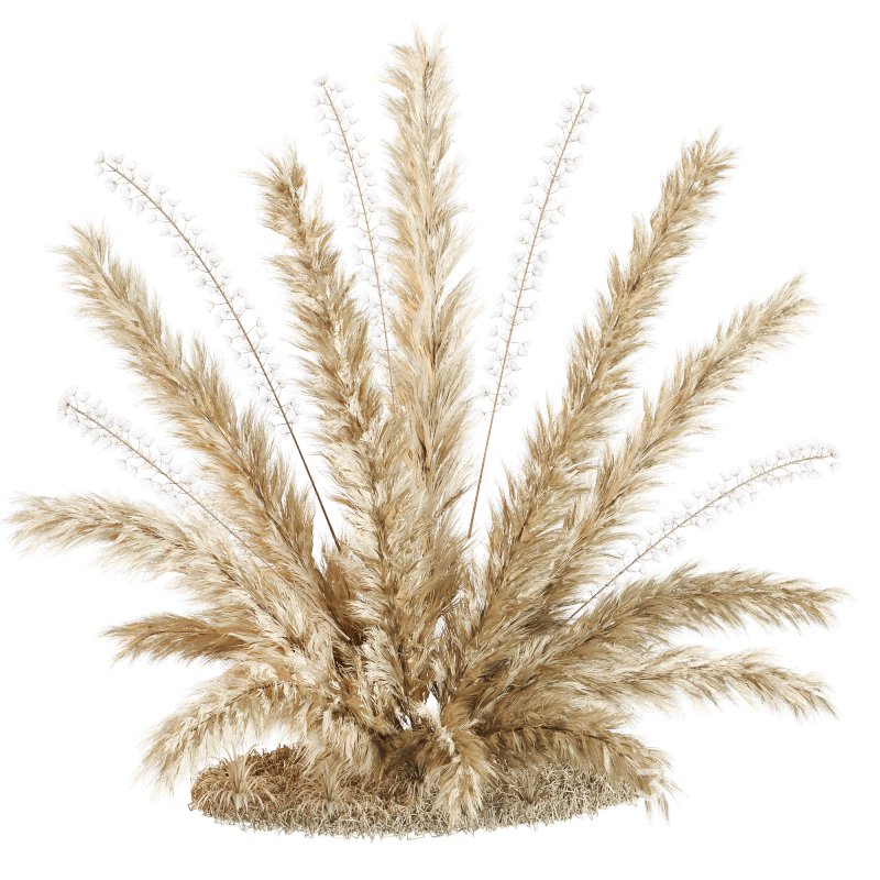 Natural dried pampas grass Image 2