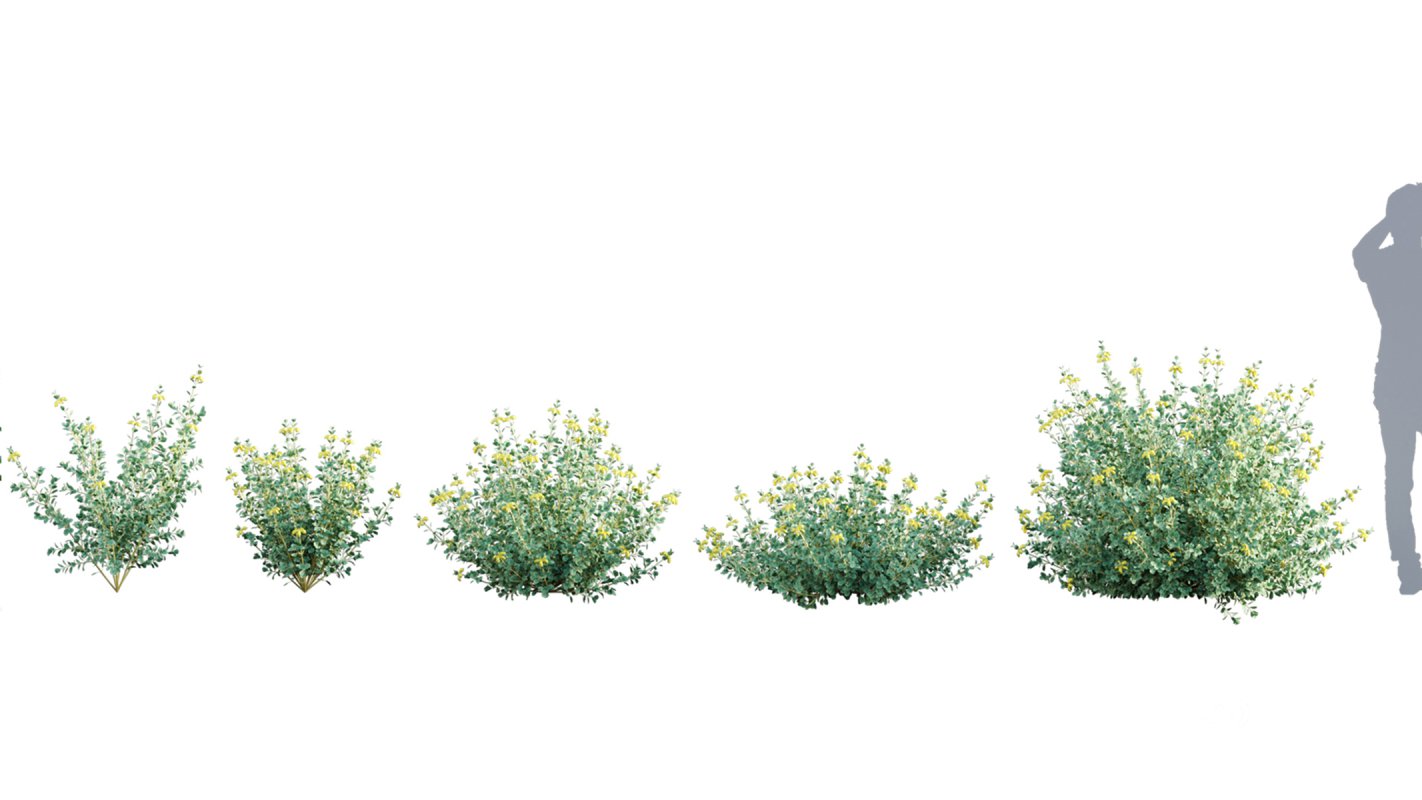 Collection 01 – Mediterrannean Garden (3D Model) Image 8