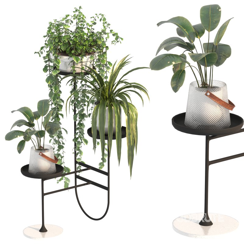 Metal Standing Plant Image 5