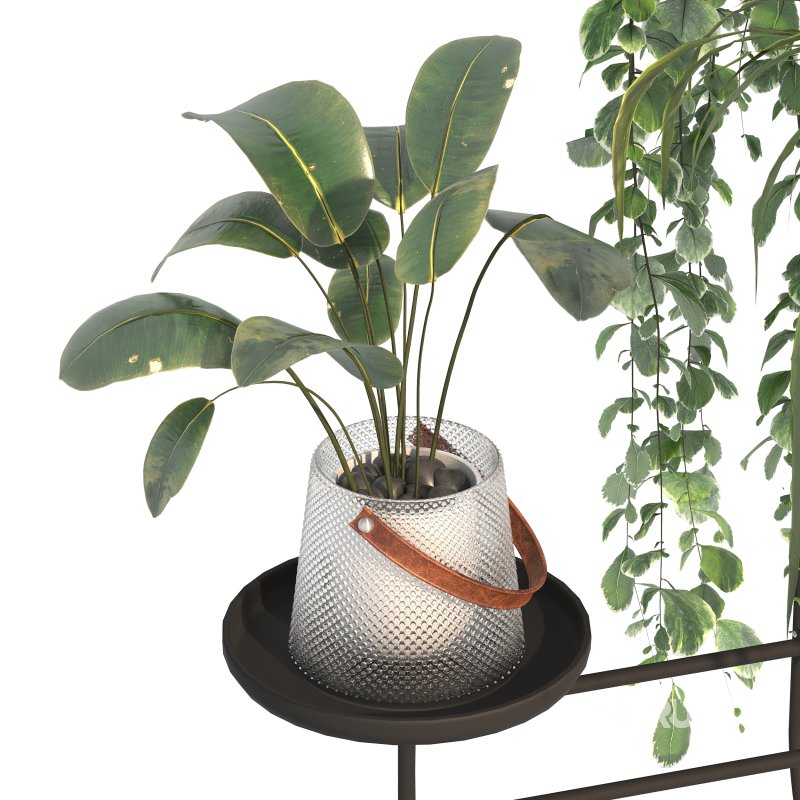 Metal Standing Plant Image 7