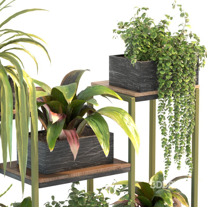 Plant Set 08 Image 6