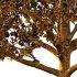 Tilia platyphyllos Tree 02 - Thumbnail 2