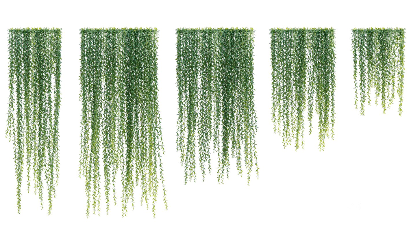 Collection 04 – Tropical Garden Image 8