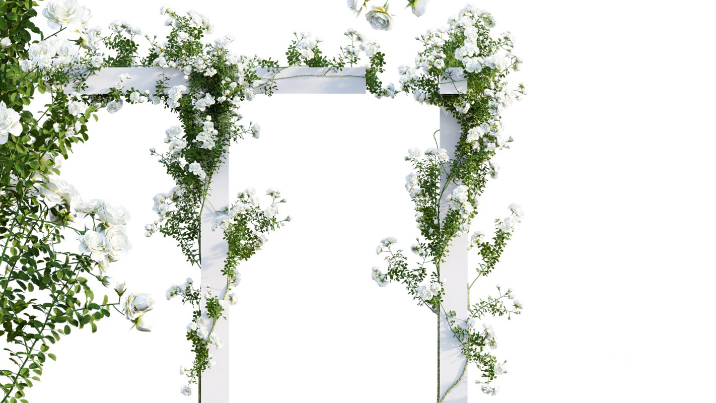 Collection 08 – Rose Garden Image 20