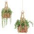 Boho Hanging Plants 05 - Thumbnail 2