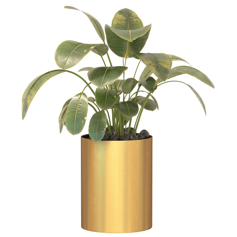 Metal Plant Set 05 Image 3