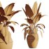 AV Indoor Plants Set 322 Fruit Orange Tree and Ficus Tineke Rubber and Aloe Vera - Thumbnail 10