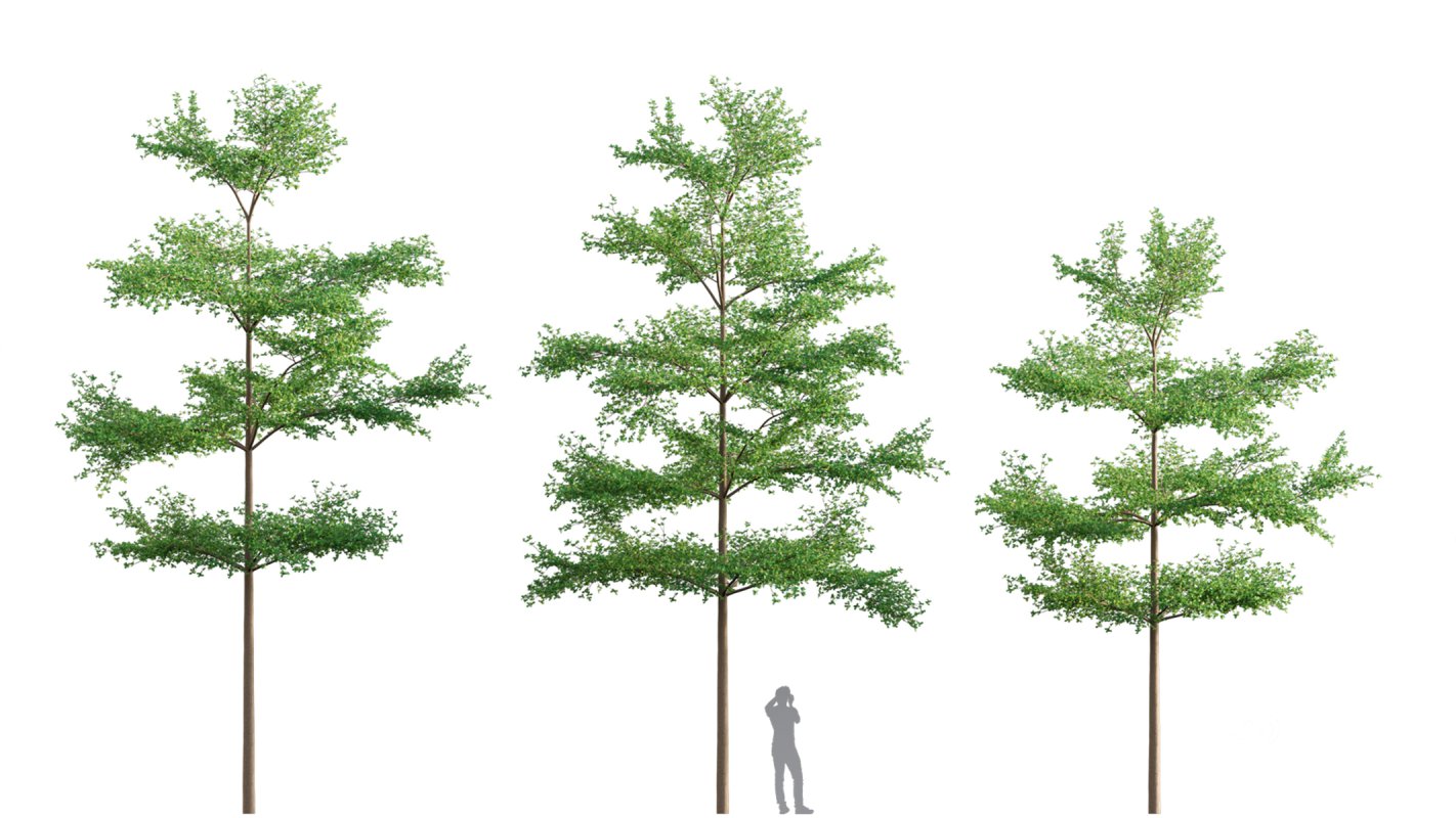 Collection 03 – Park Image 13