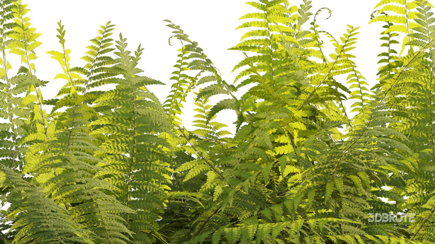 Collection 14 – English Garden Image 25