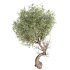 Tree set 001 - Thumbnail 3