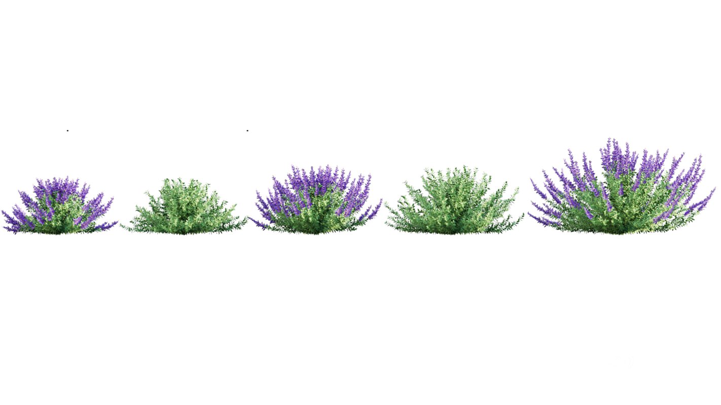 Collection 02 – Mediterrannean Garden Image 8