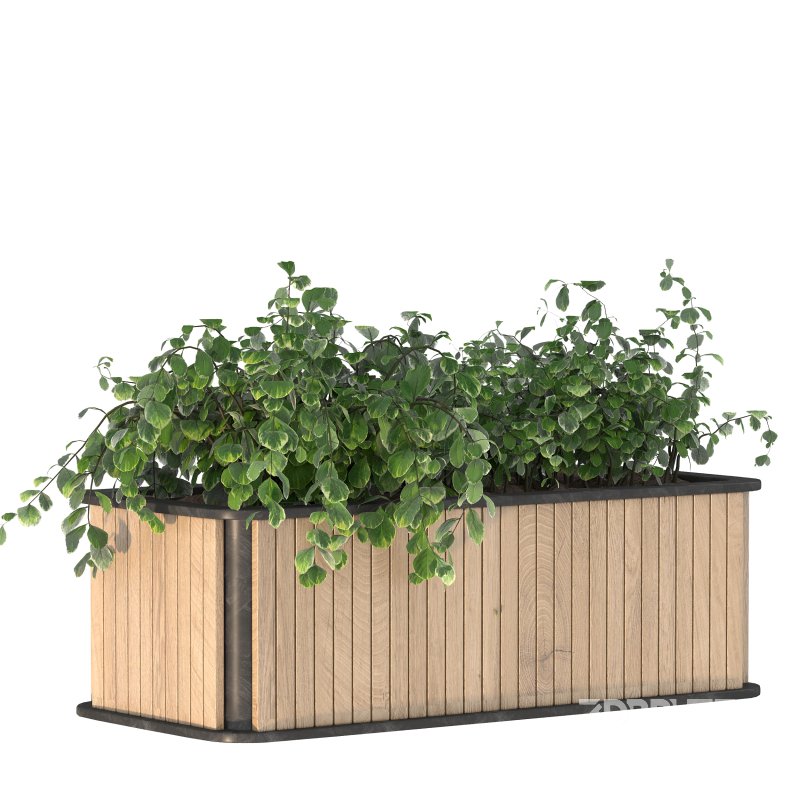 Plant Set 09 Image 8