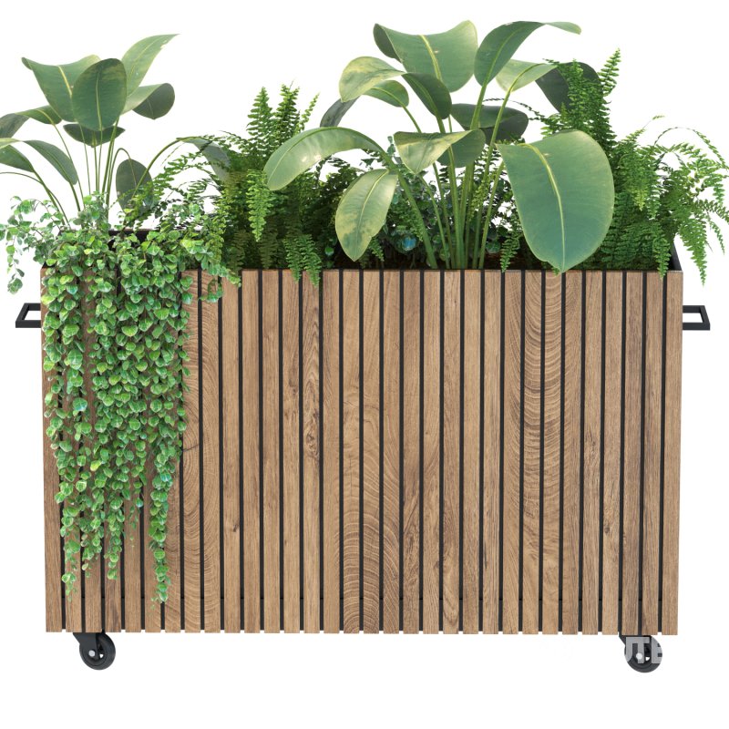 Plant Set 06 Image 7