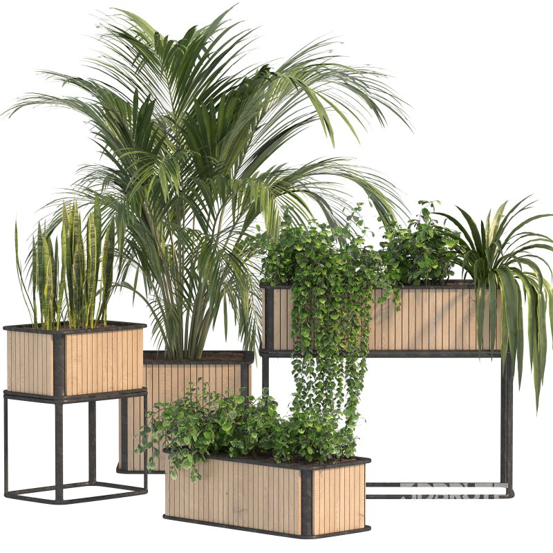 Plant Set 09 Image 5