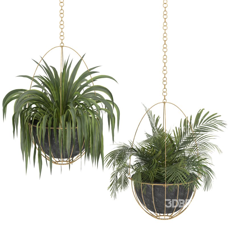 Metal Hanging Plants 05 Image 2