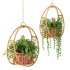 Boho Hanging Plants 05 - Thumbnail 10