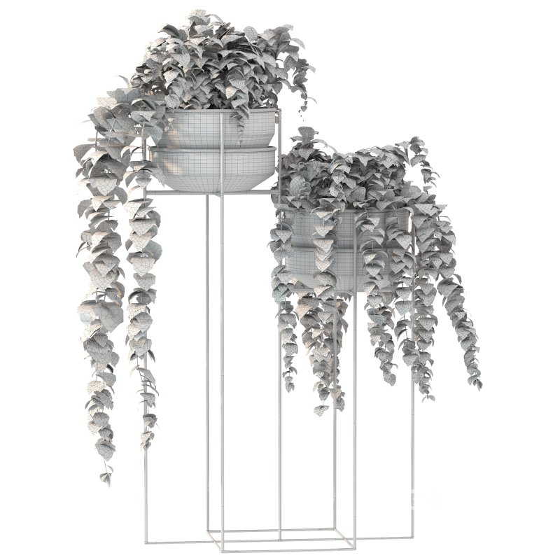 Metal Standing With Money Plant Image 2