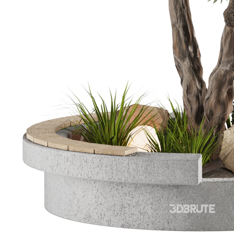 Bohemian Olive Tree Garden Image 4