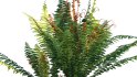 Collection 09 – Fern Garden - Thumbnail 41
