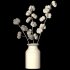 A Bouquet of Cotton - Thumbnail 5
