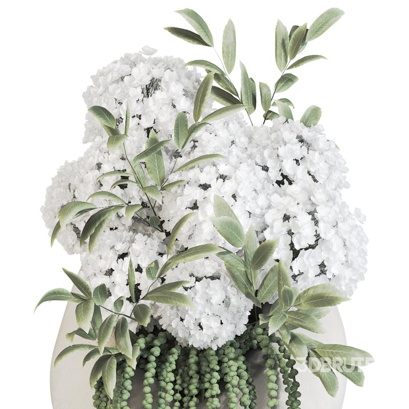 Flowers in Vase Collection 37 Image 3