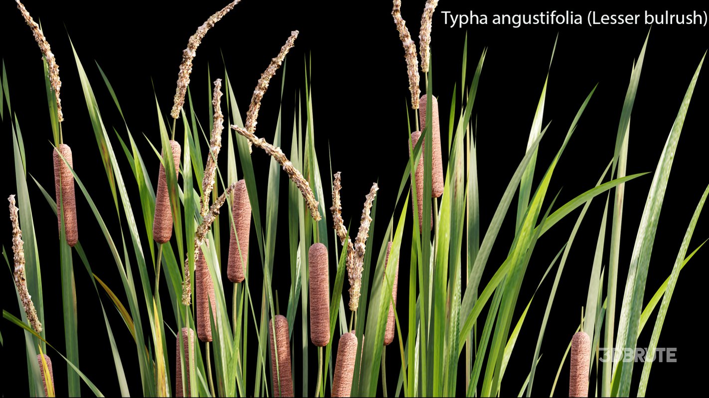 Collection 14 – English Garden Image 41