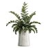 AV Indoor Plants Set 361 Zamiifolia and Areca Palm and Bird Of Paradise and Briful Pachira - Thumbnail 2