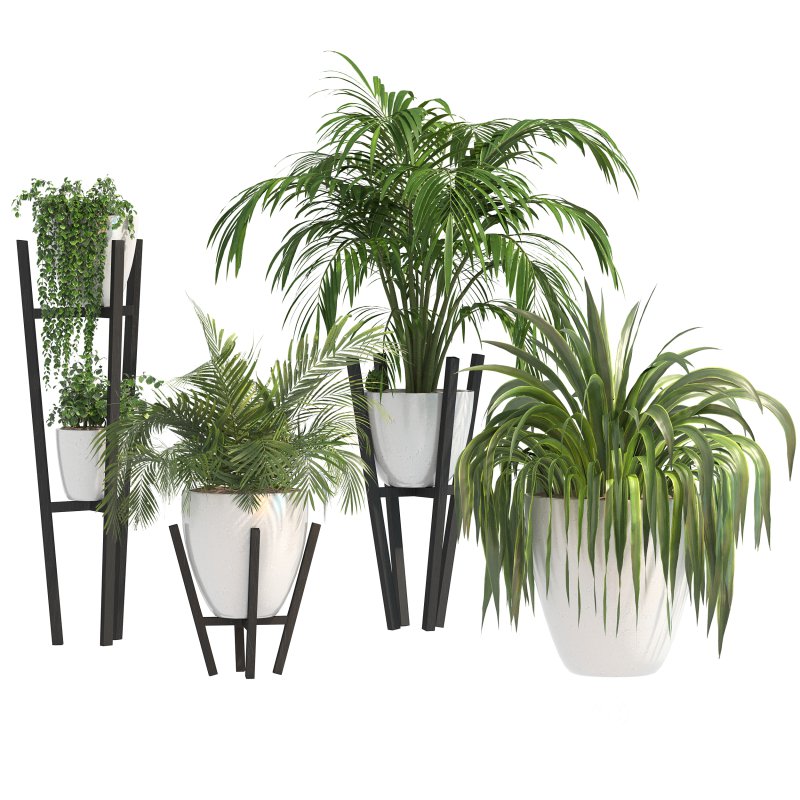 Stone Pot Plant Set Image 5