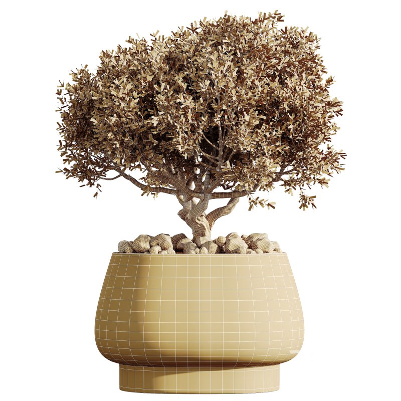 AV Indoor Plants Set 363 Yucca Palm and Banana Nicolai and Arbequina Olive Image 6