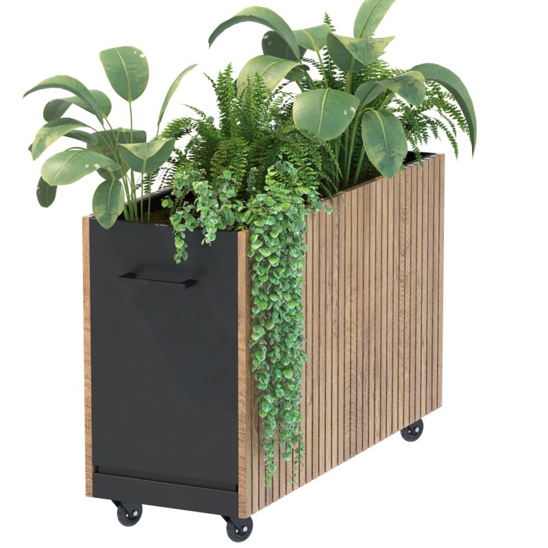 Plant Set 06 Image 1