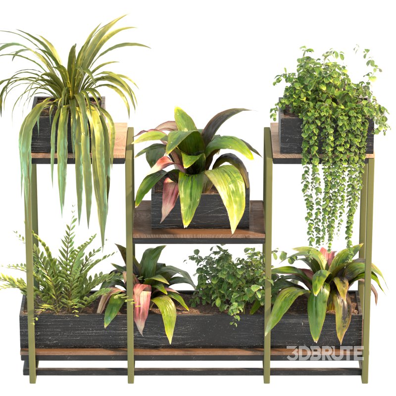 Plant Set 08 Image 5