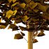 Tilia platyphyllos Tree 16 - Thumbnail 5