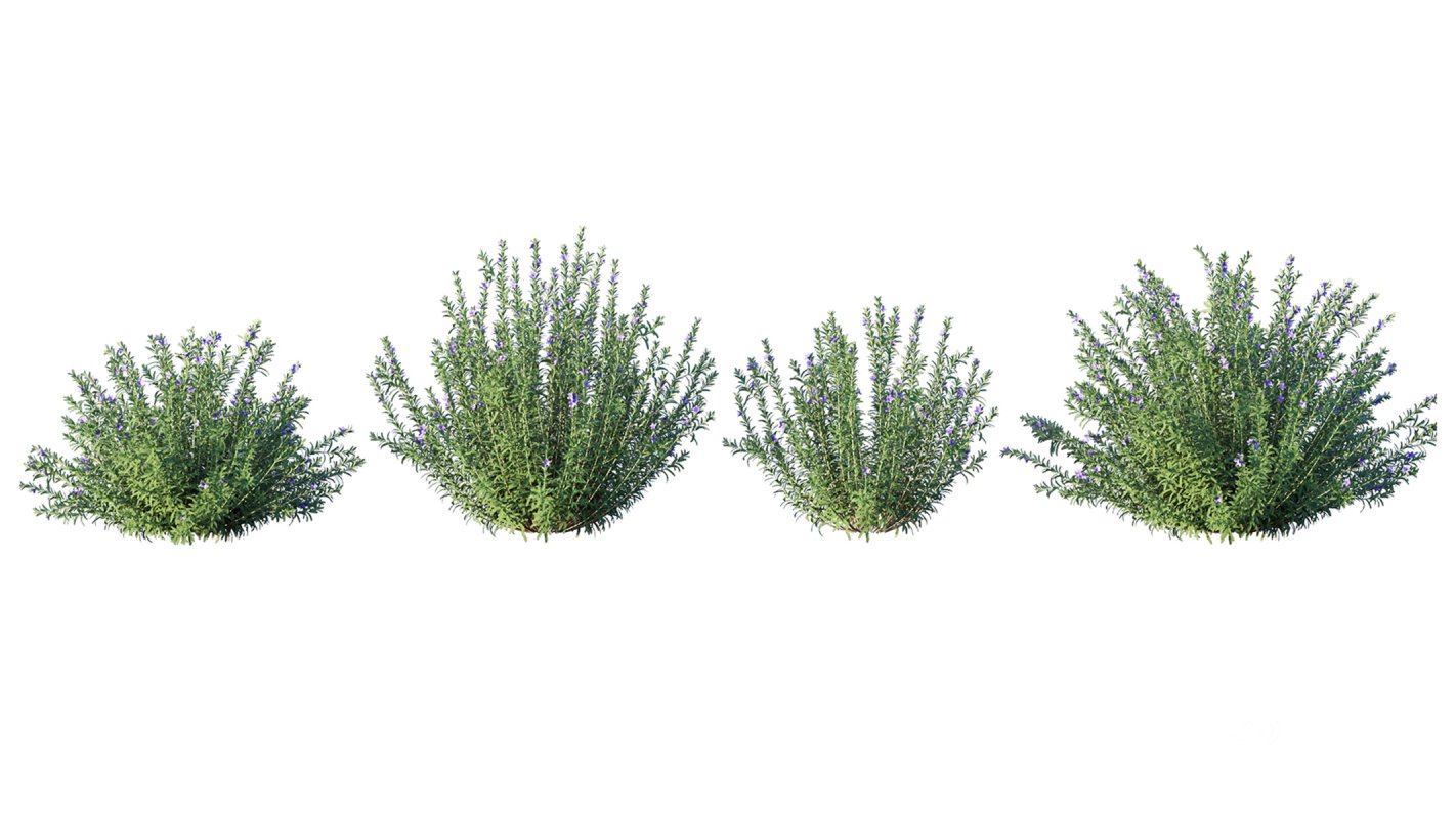 Collection 02 – Mediterrannean Garden Image 7