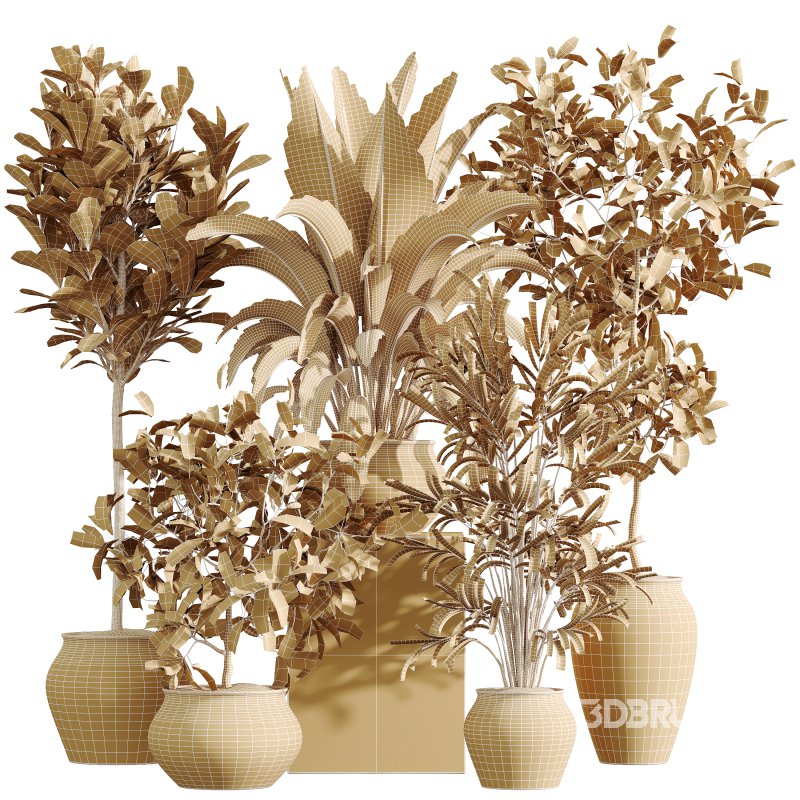 AV Indoor Plants Set 366 Briful Pachira and Areca Palm and Ficus microcarpa and Bird Of Paradise Image 8