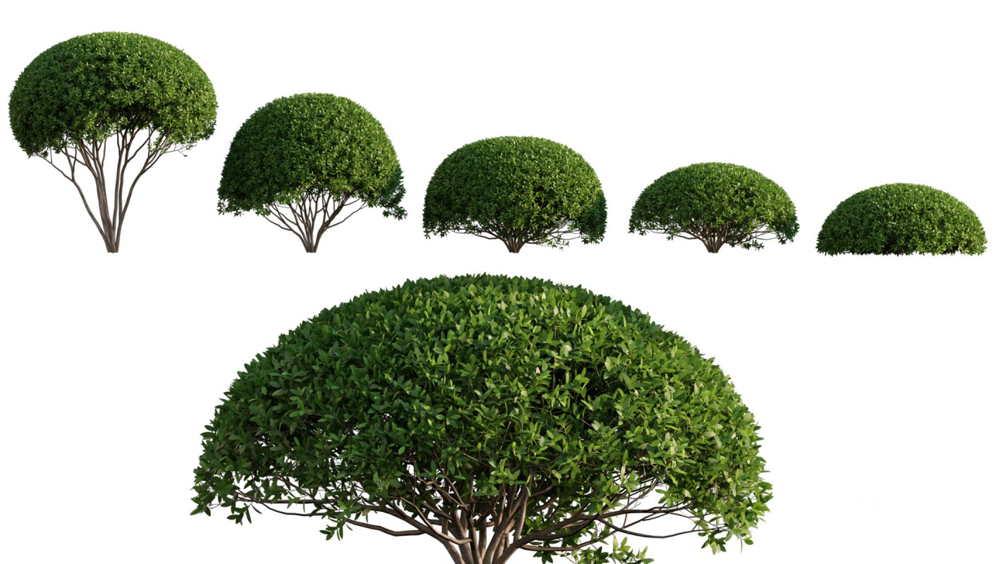 Collection 06 – Japanese Garden Image 6