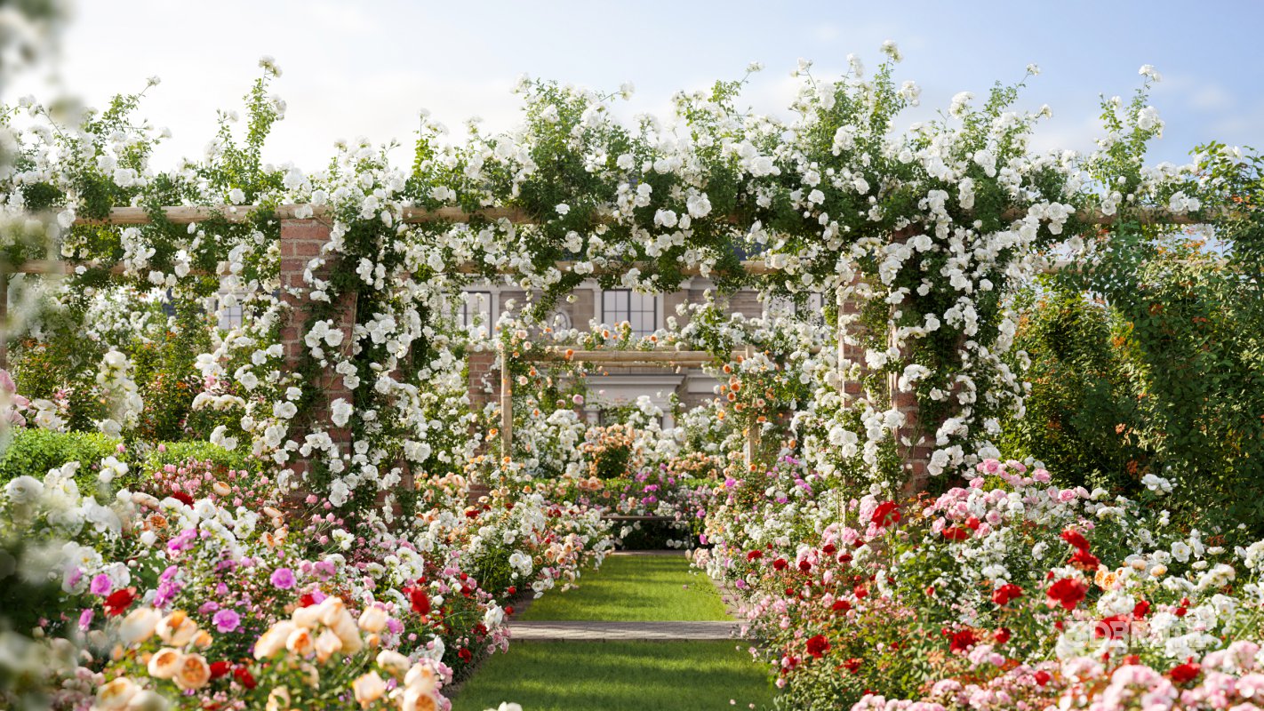 Collection 08 – Rose Garden Image 1