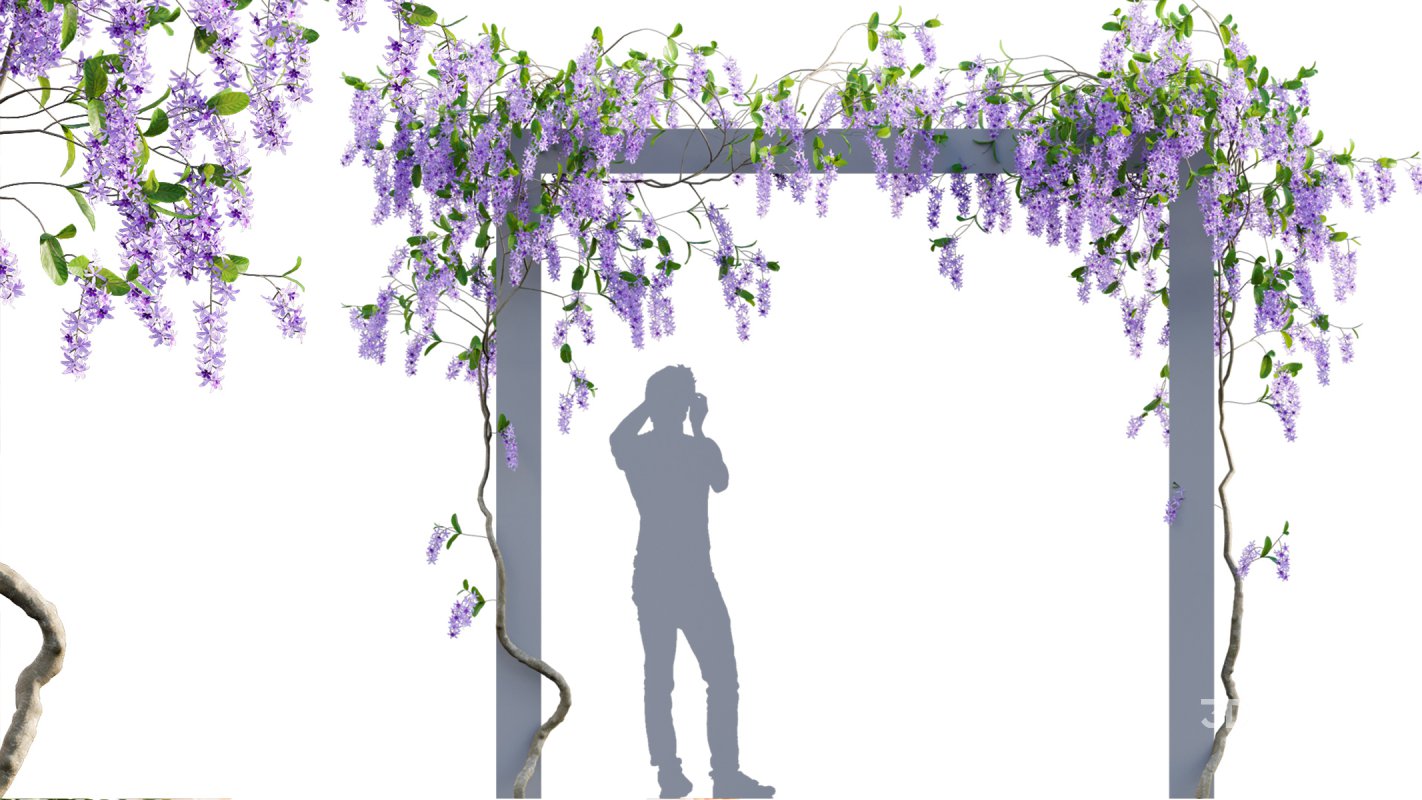 Collection 07 – Central America Garden Image 31