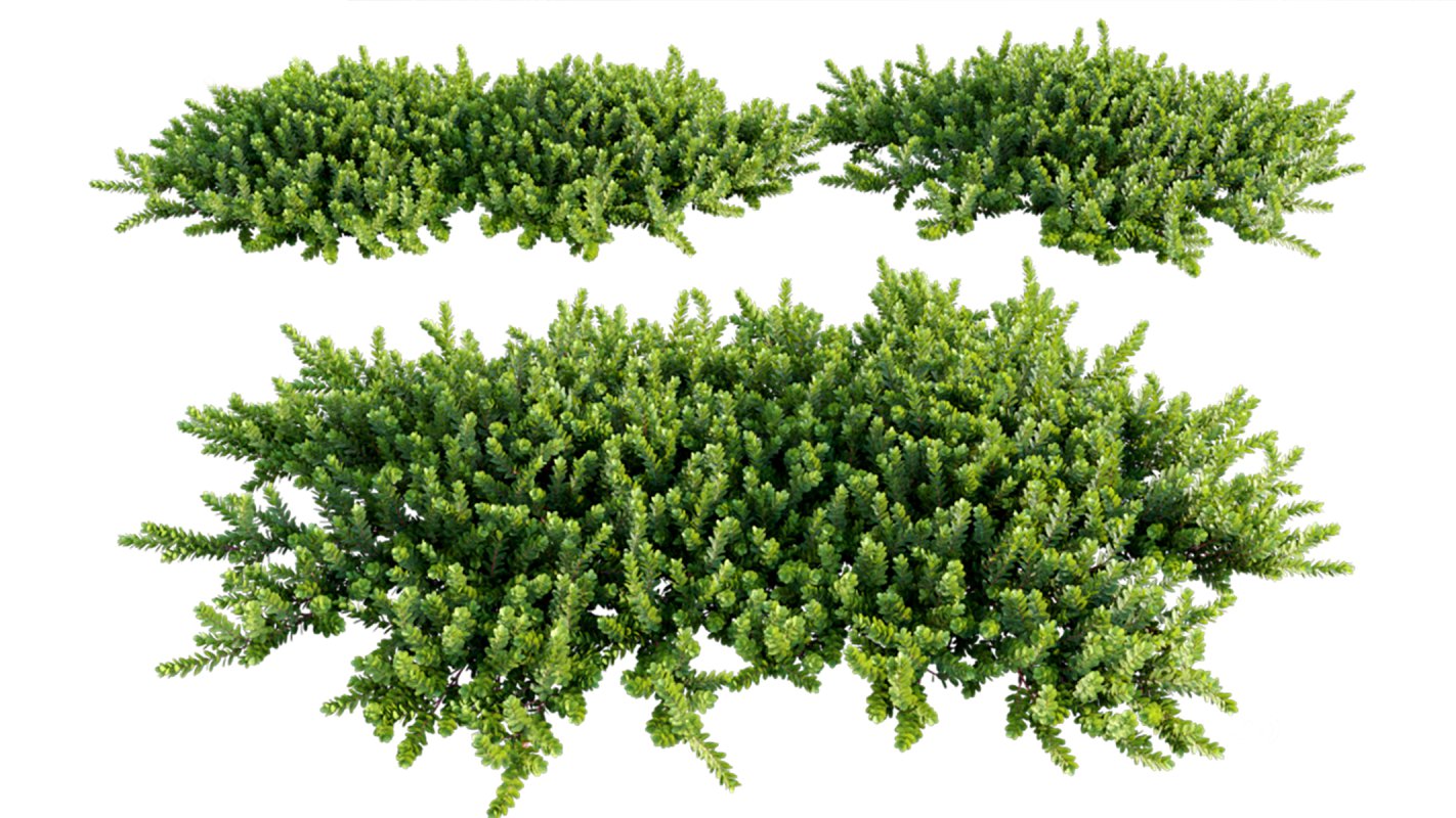 Collection 02 – Mediterrannean Garden Image 6