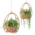 Boho Hanging Plants 05 - Thumbnail 5