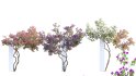 Collection 01 – Mediterrannean Garden (3D Model) - Thumbnail 2