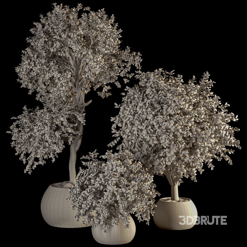 HousePlants Set Image 6