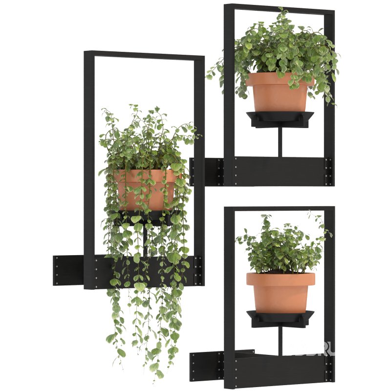 Boho Hanging Plants 04 Image 4